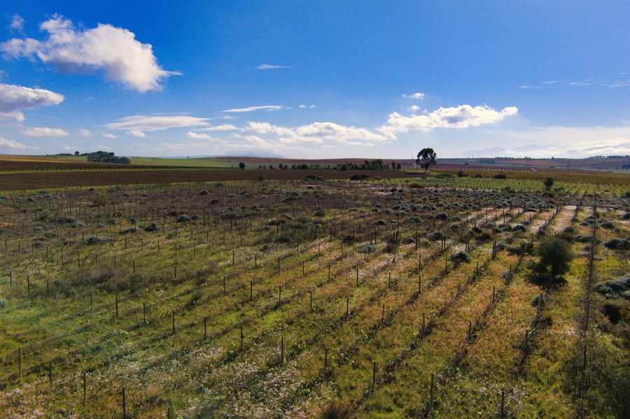 0 Bedroom Property for Sale in Windmeul Western Cape